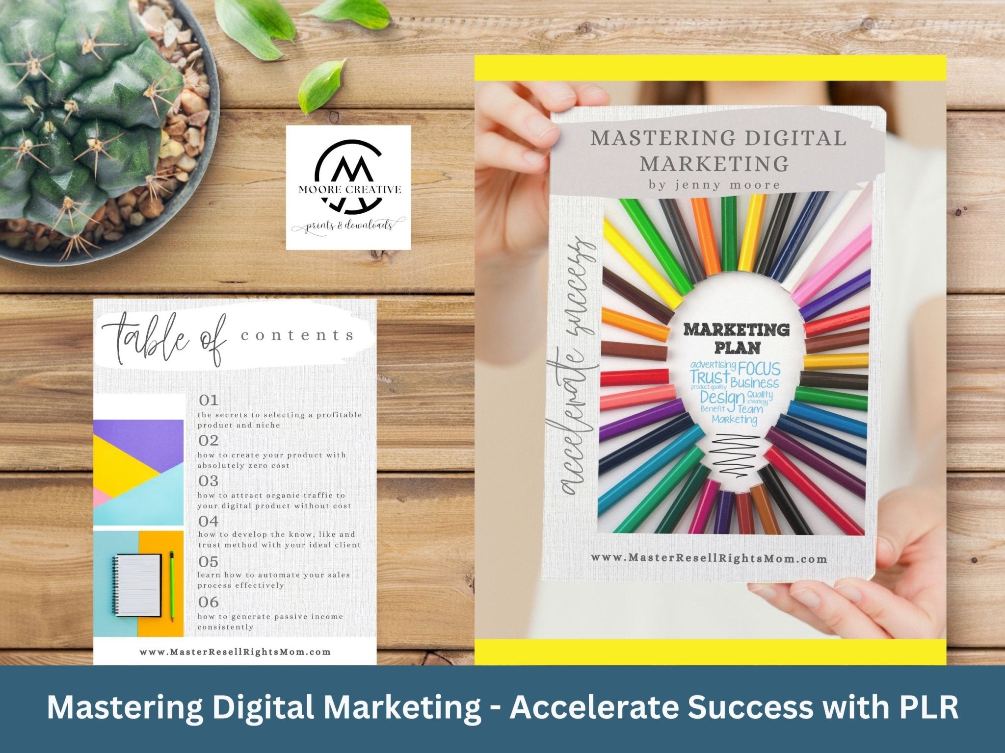 Digital Marketing Guide PLR