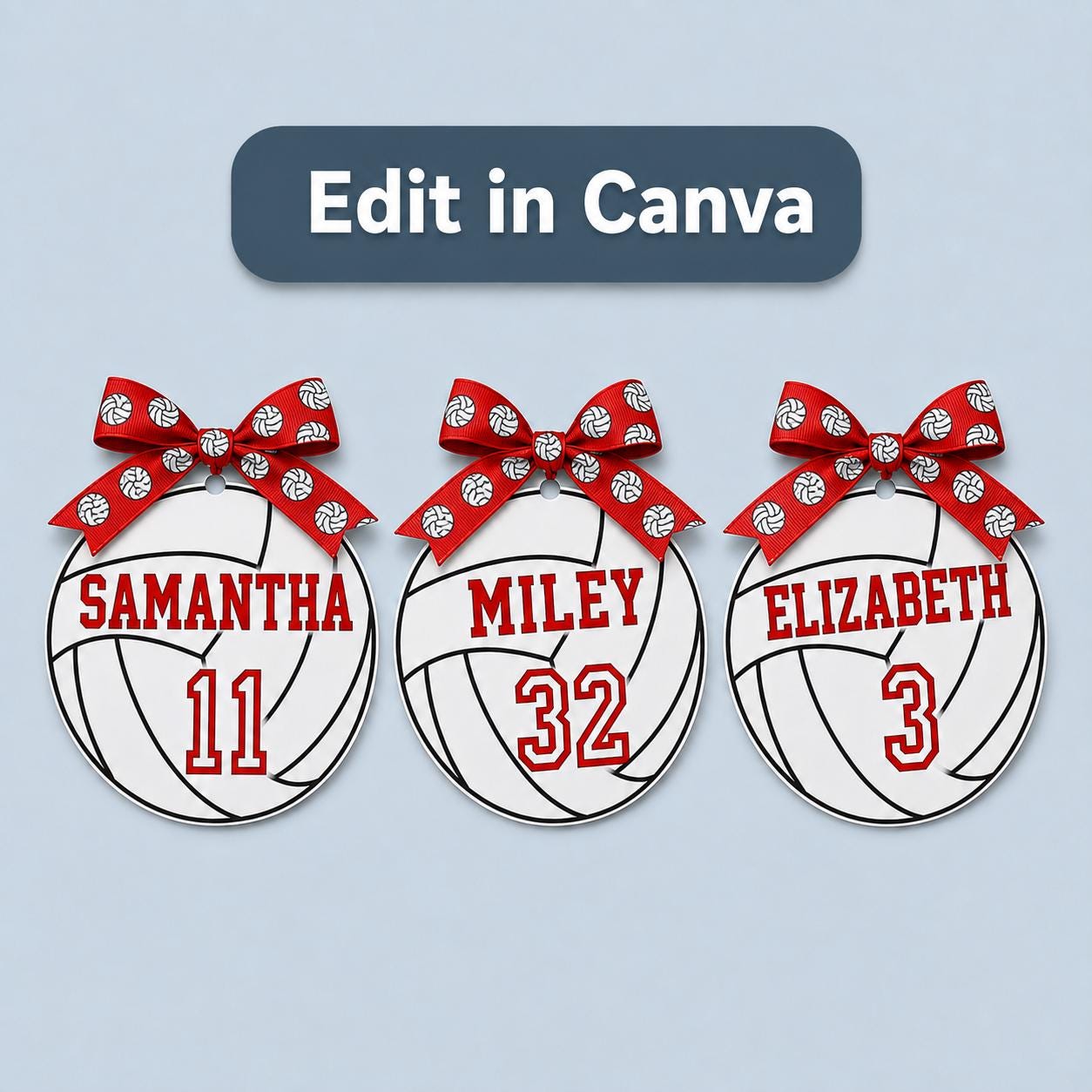 Volleyball Senior Night Locker Sign Editable 5 Inch Player Name Number