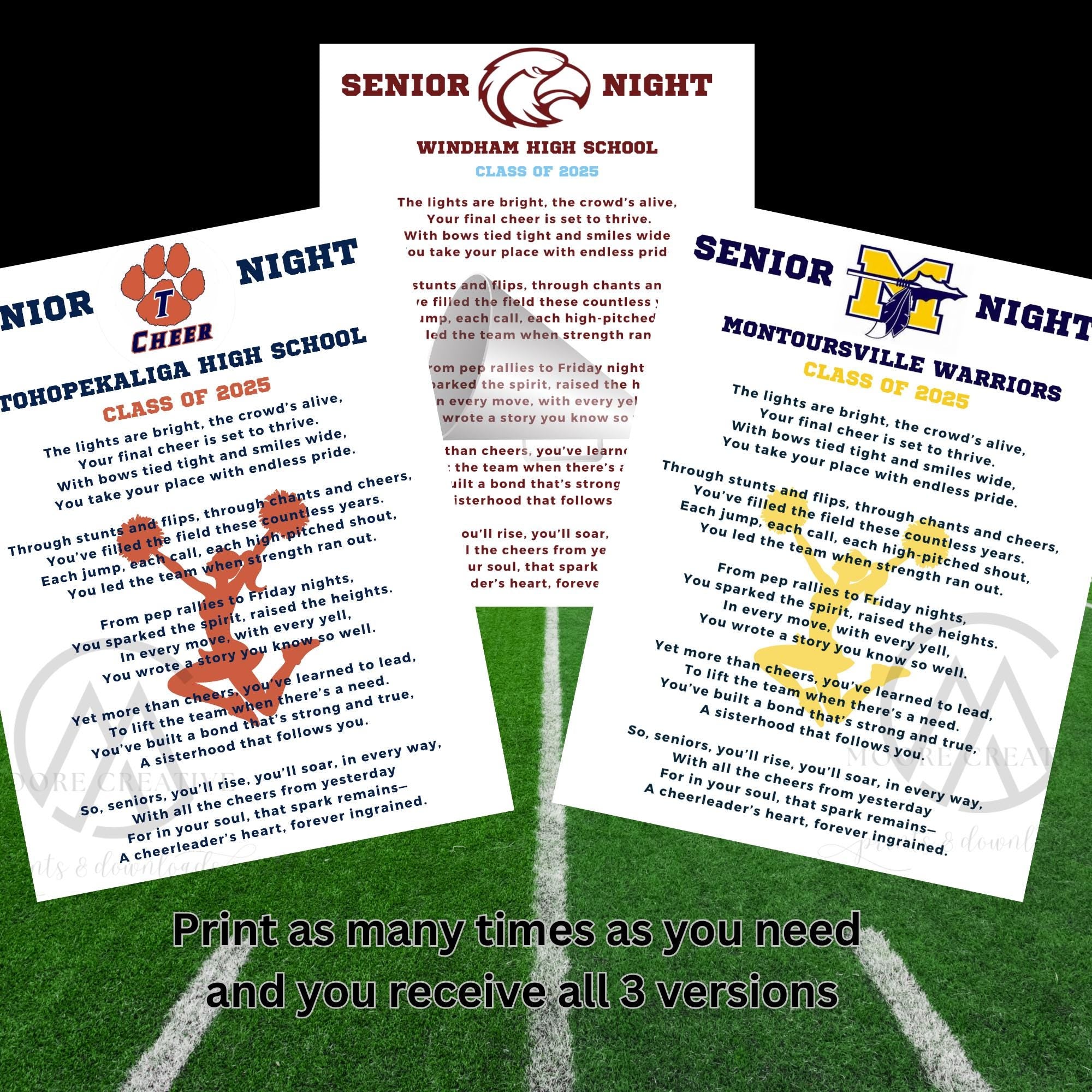 Cheerleader Gift Idea Senior Cheerleading Poem Senior Night Cheerleading Idea Add Logo School Name Customized Cheer Gift 2027 HS Personalize