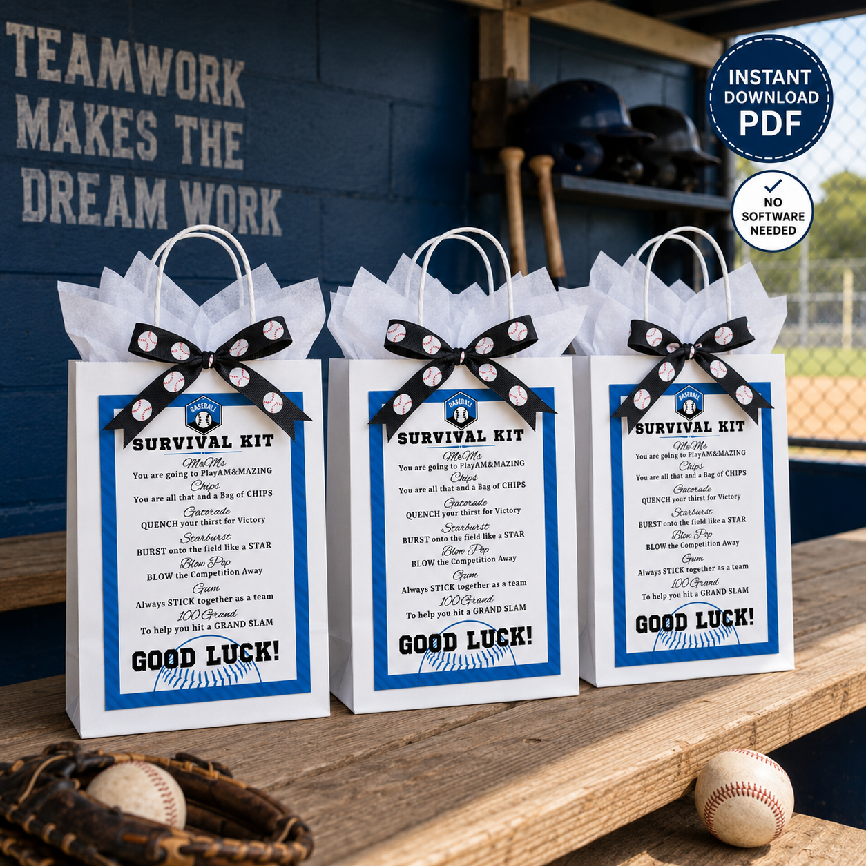 Baseball Survival Kit Baseball Team Gifts Survival Kits Team Survival Kit Digital Gift Bags for Tournaments Gift Tag INSTANT DOWNLOAD