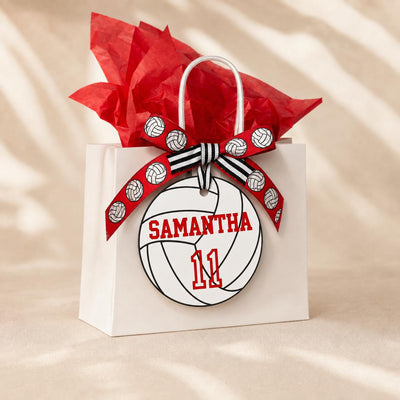 5" Volleyballs Editable Names and Player Numbers DIY Template Printable