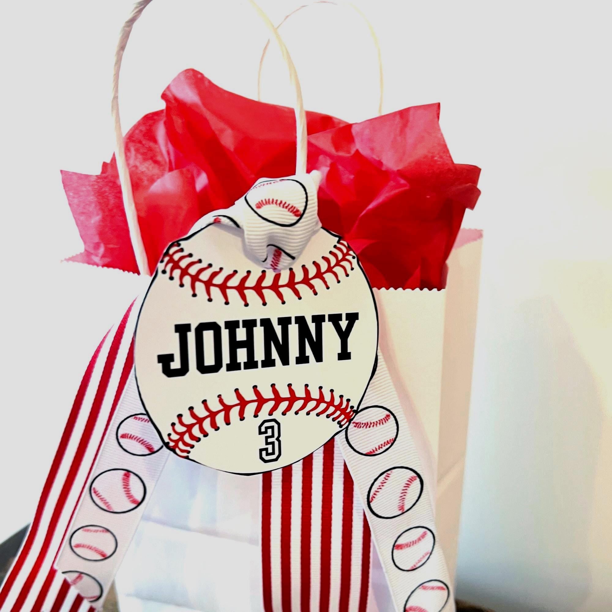 Baseball Tags Editable Names Numbers Colors DIY Template Printable Baseball