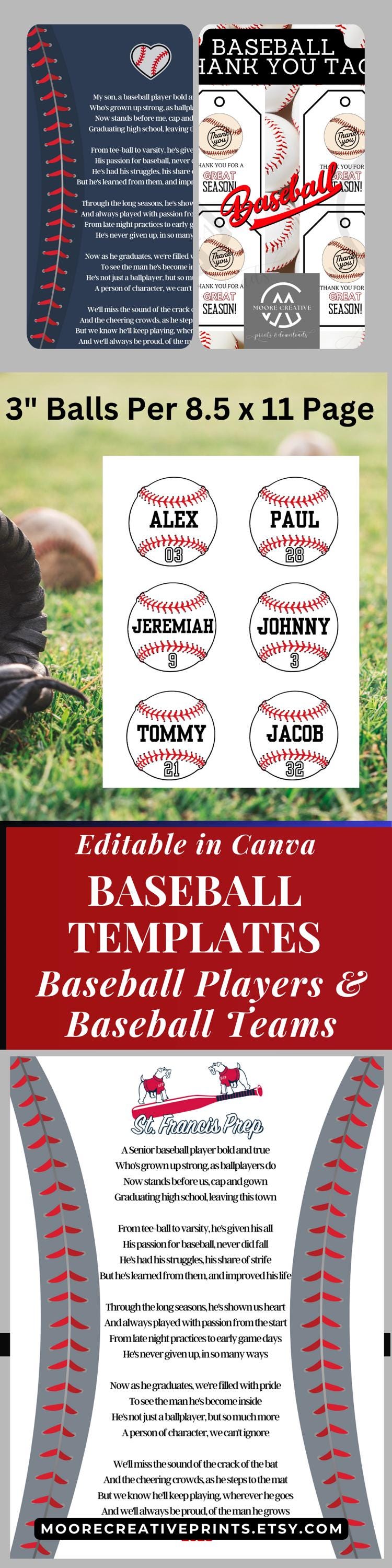 Baseball themed product flyer with templates and branding elements.