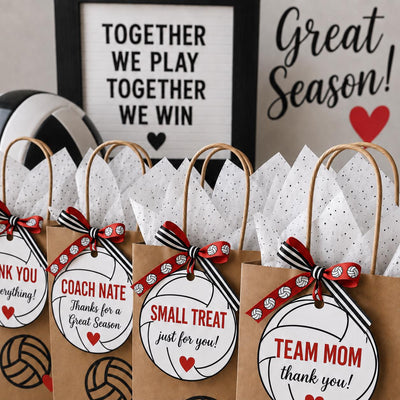 5" Volleyballs Editable Names and Player Numbers DIY Template Printable