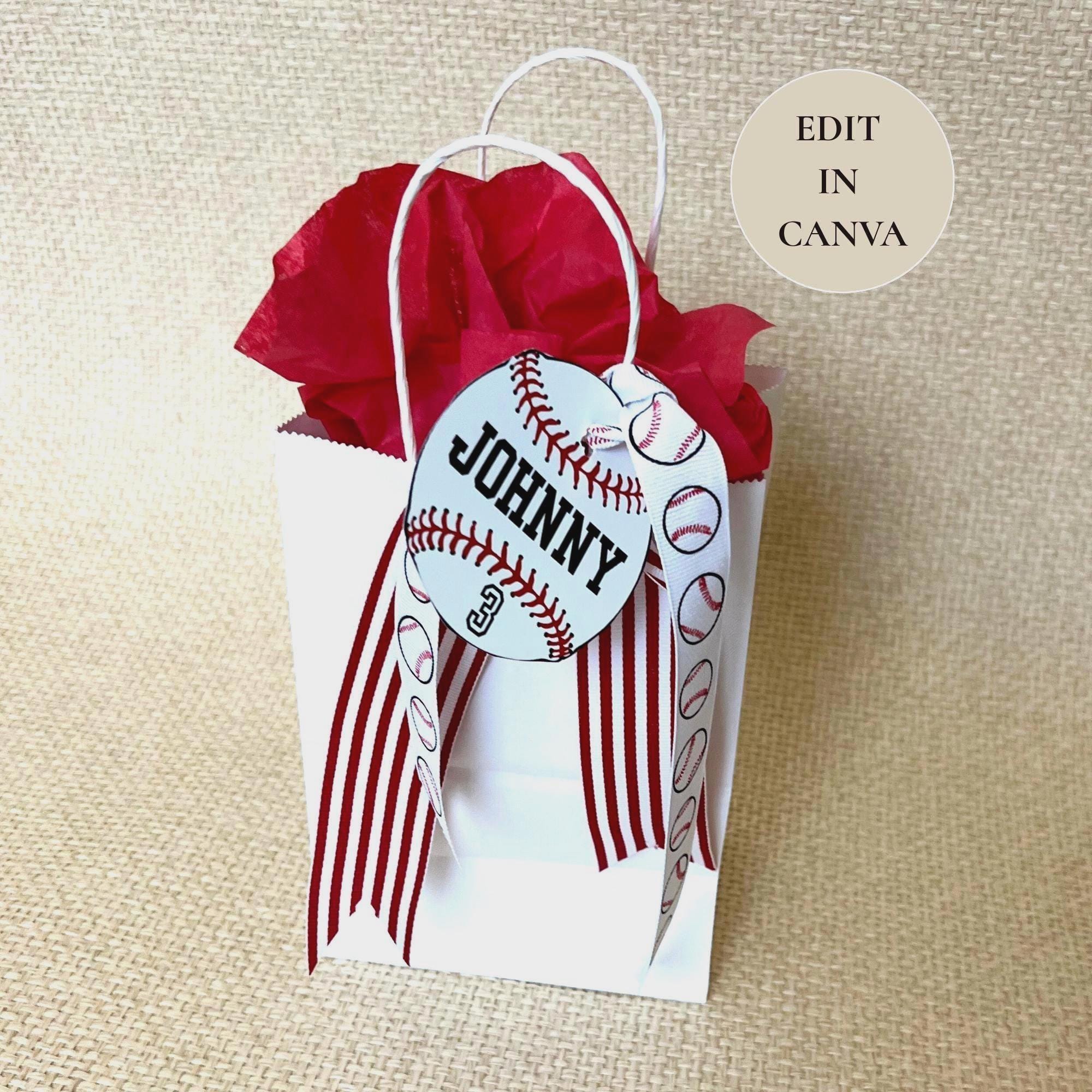 Baseball Tags Editable Names Numbers Colors DIY Template Printable Baseball