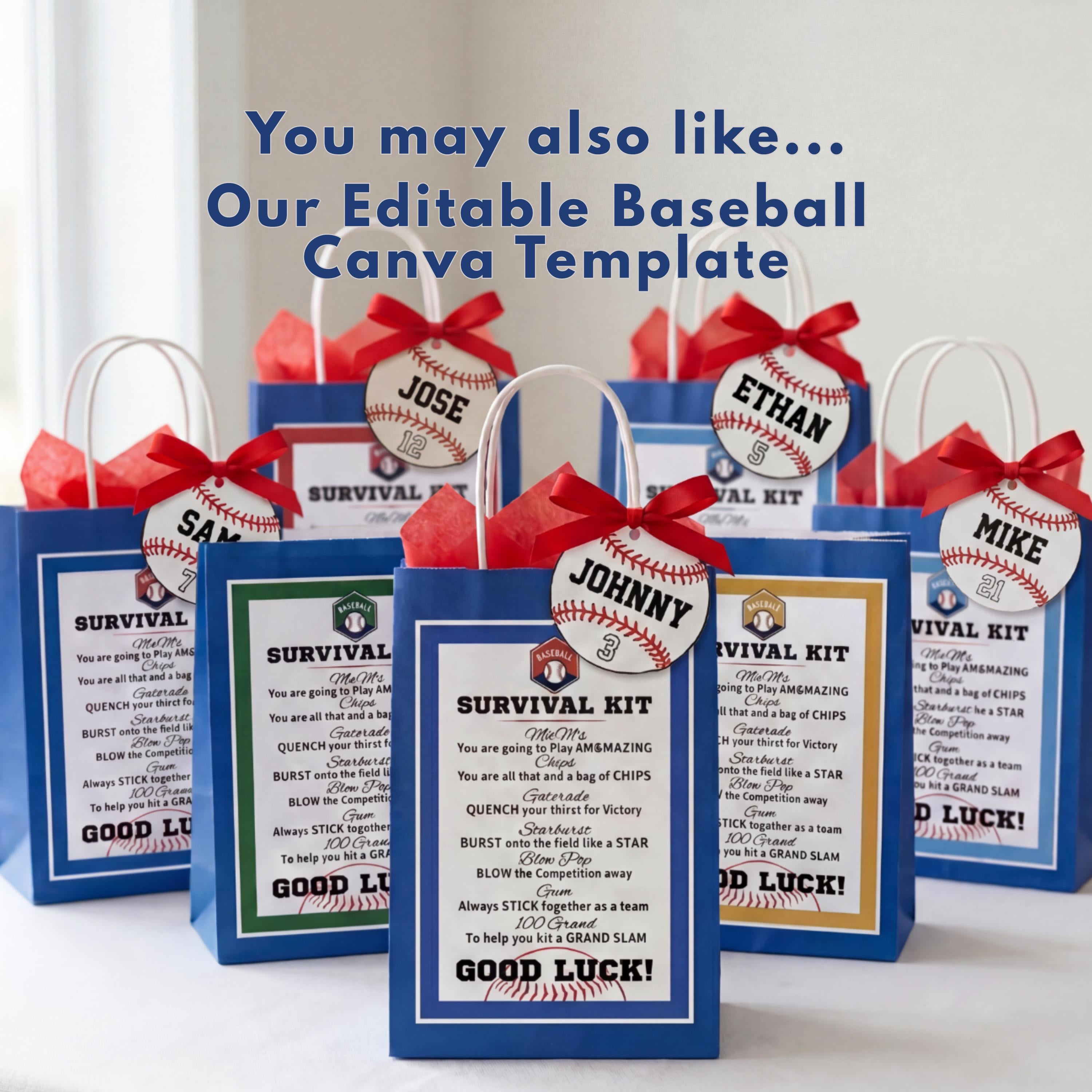Team Mom Baseball Goodie Bag Tag Player Gift Favor Instant Download Baseball Survival Kit Gift Tag Printable Bball Tournament Treat Bag Idea