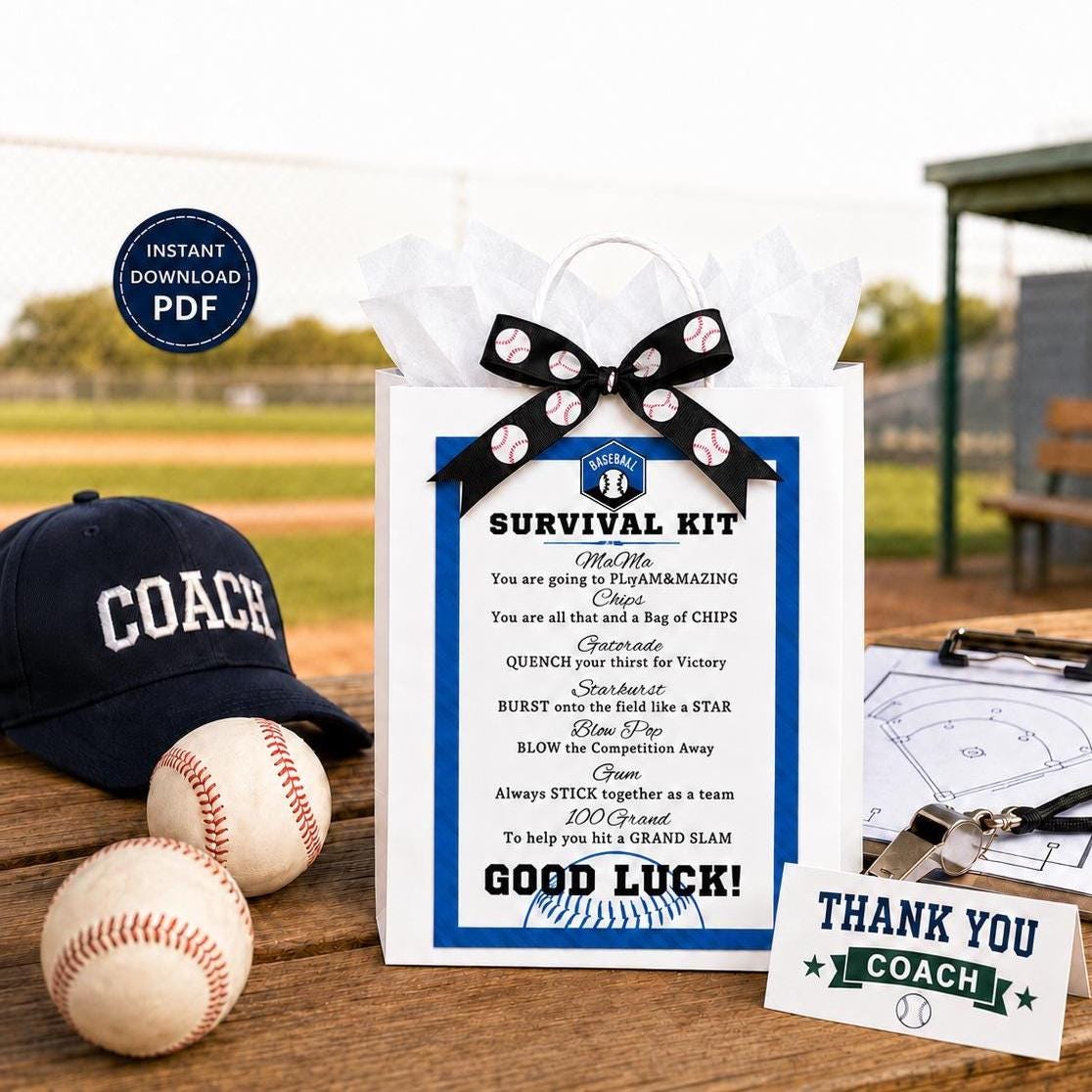 Baseball Coach Survival Kit Printable Gift Tag Digital Download Baseball Team Gifts Coaches Gift Idea for Tournaments Gift Bag Goodie Bags