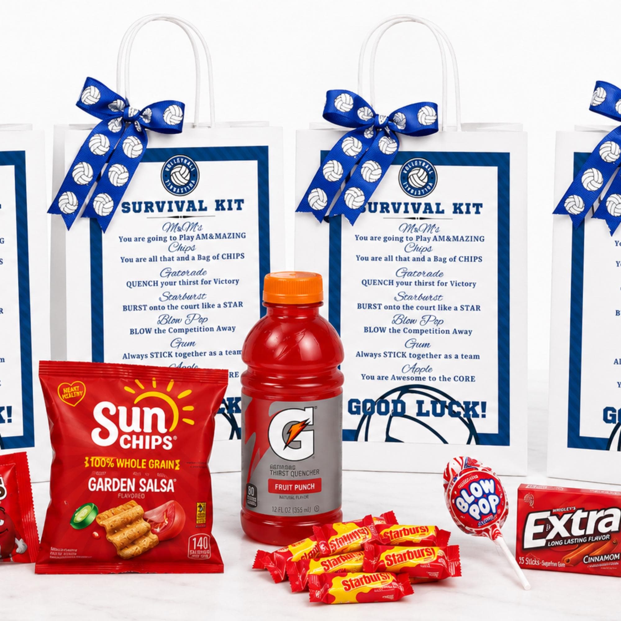 Volleyball Survival Kit Volleyball Gift Idea Survival Kits Team Prints Digital Download Favor Bag Tournament Team Gifts PDF INSTANT DOWNLOAD