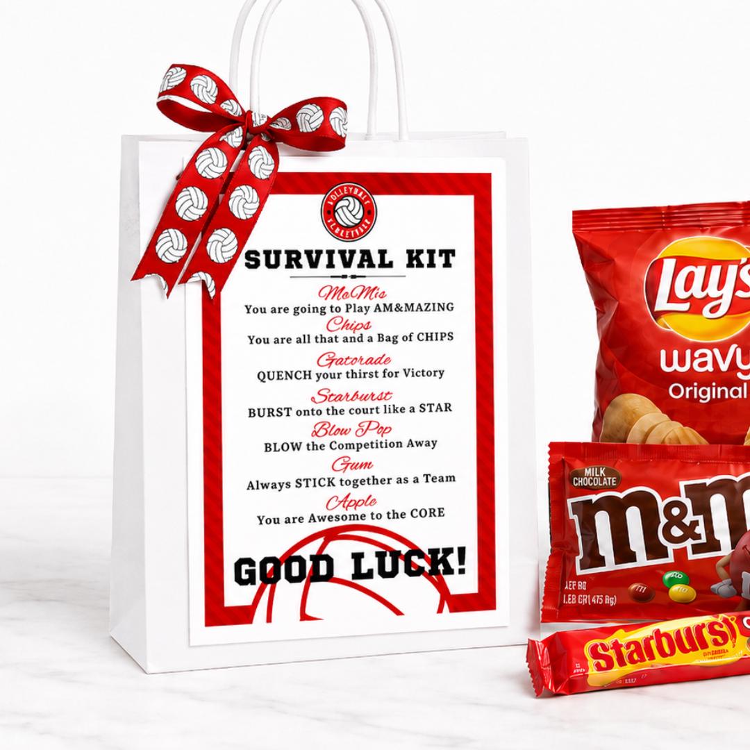 Volleyball Team Treat Bag Tags Printable Snack Favors for Players Coach and Team Mom Game Day Gift PDF
