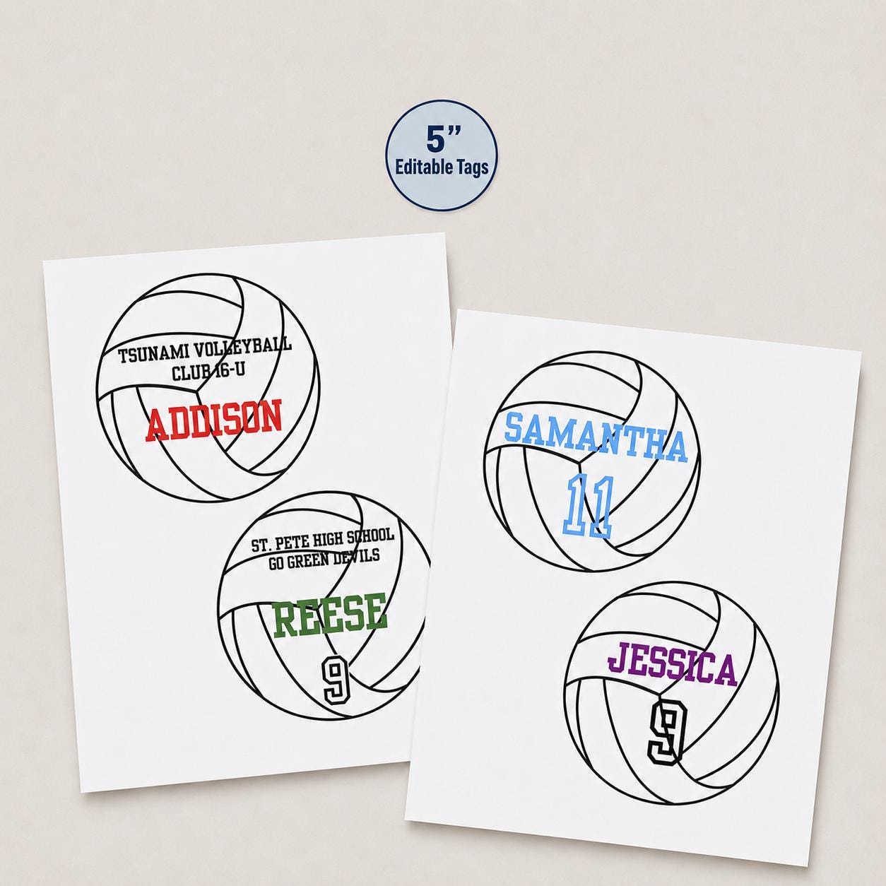 Volleyball Senior Night Locker Sign Editable 5 Inch Player Name Number Printable Senior Team Gift Canva Template End of Season Gift for Team