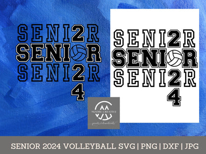 senior gift ideas volleyball team