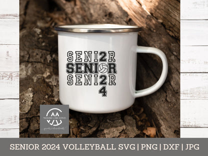 senior gift volleyball